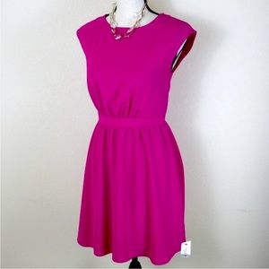 Pink Everly A-line Dress